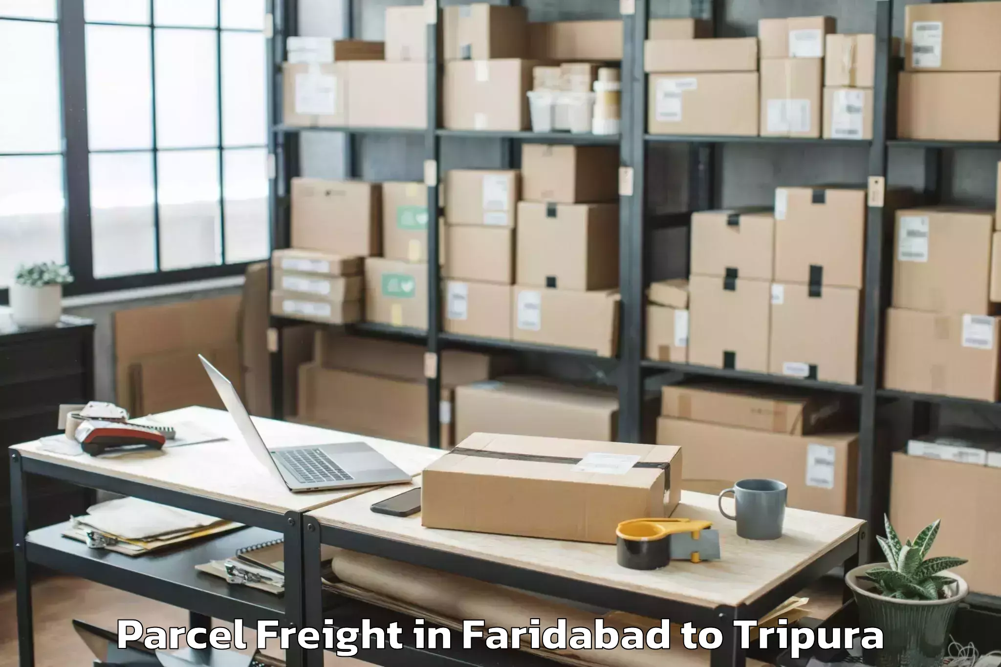 Discover Faridabad to Sonamura Parcel Freight